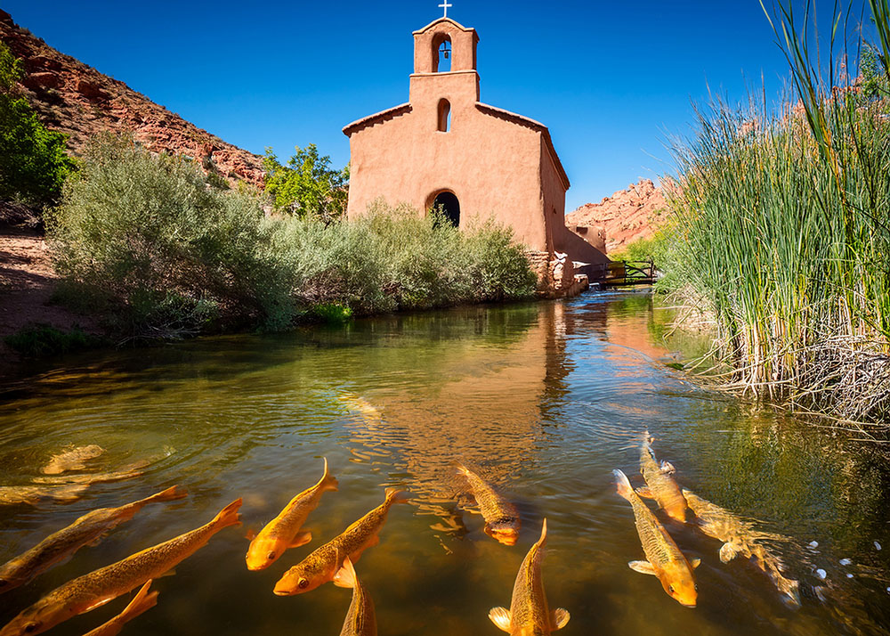 Happy fish in a river going into an an adobe church_1000
