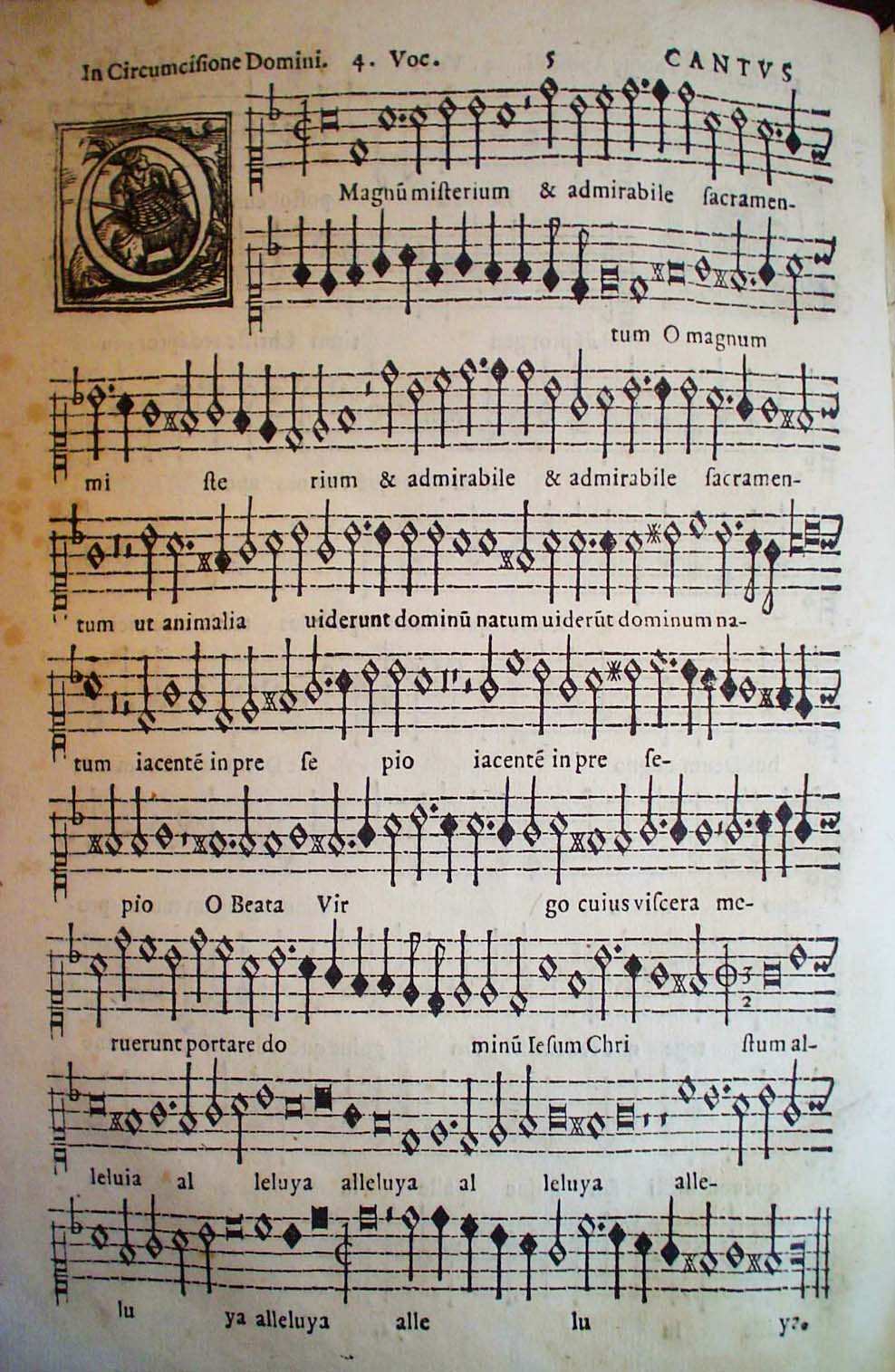 O Magnum manuscript